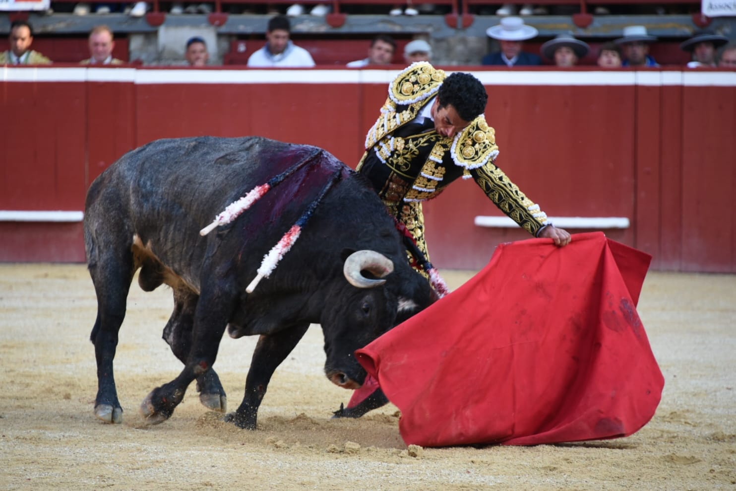 Gran faena de Morenito de Aranda en una concurso sin vencedores en Mont de Marsan