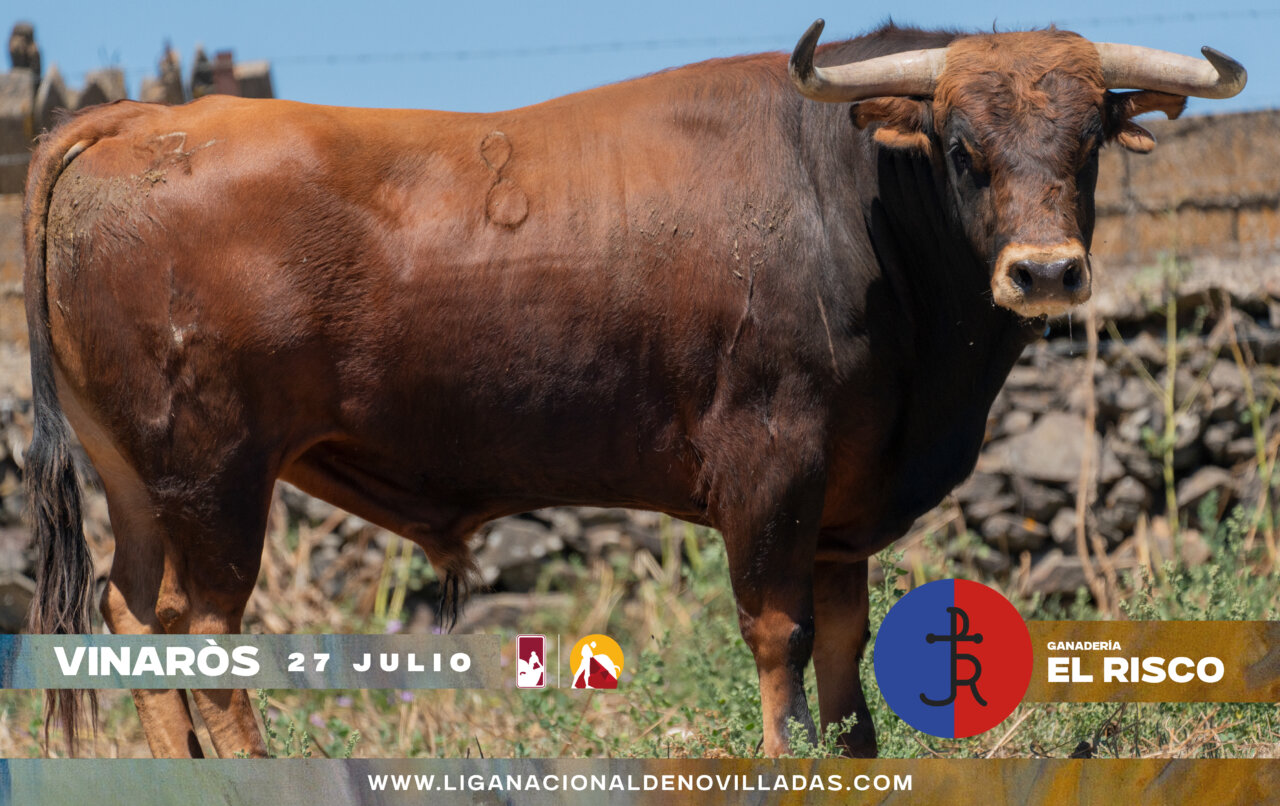 Los novillos de El Risco para el inicio del Circuito Valenciano en Vinaròs