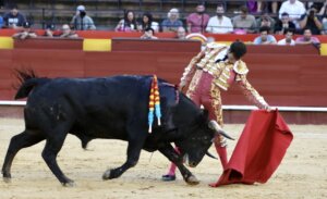 Foto: Antonio Vigueras