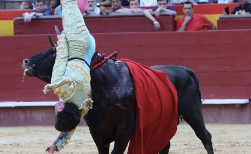 Fea voltereta a Jarocho en Valencia