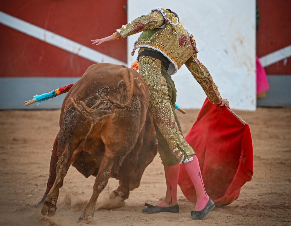 La gran fiesta de Navalón