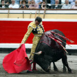 En 2008 alcanza su cuarta puerta grande al cuajar a Histrión. de El Ventorrillo, con una gran actuación.