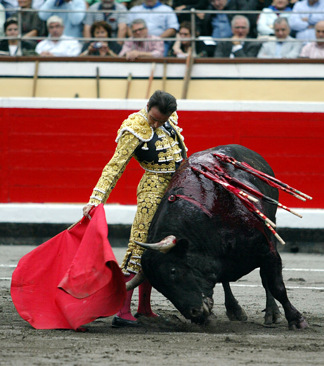 En 2008 alcanza su cuarta puerta grande al cuajar a Histrión. de El Ventorrillo, con una gran actuación.