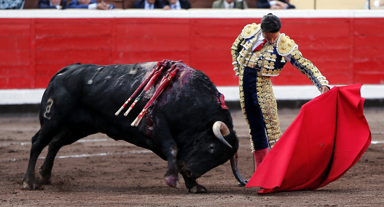 Diego Urdiales: “Si no hay pasión, es imposible sentirte feliz ni hacer sentir a los demás”