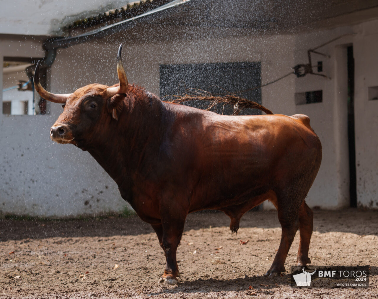 Revoltoso y Visitante, de Daniel Ruiz, para la despedida de Ponce en Bilbao