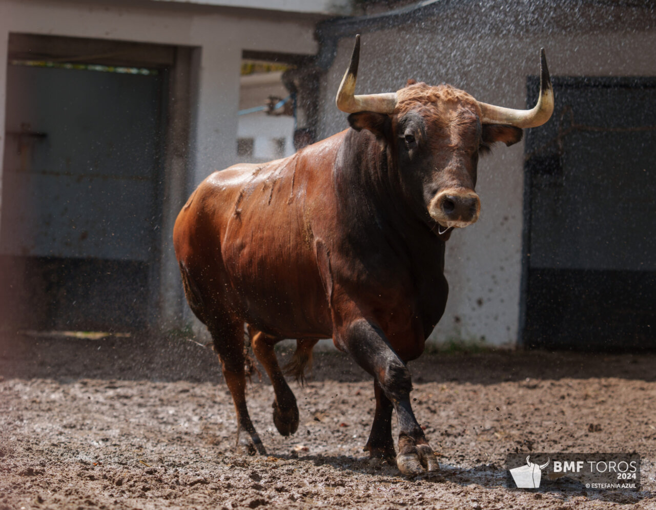 Marchante abre el cartelazo de Victoriano del Río en Bilbao