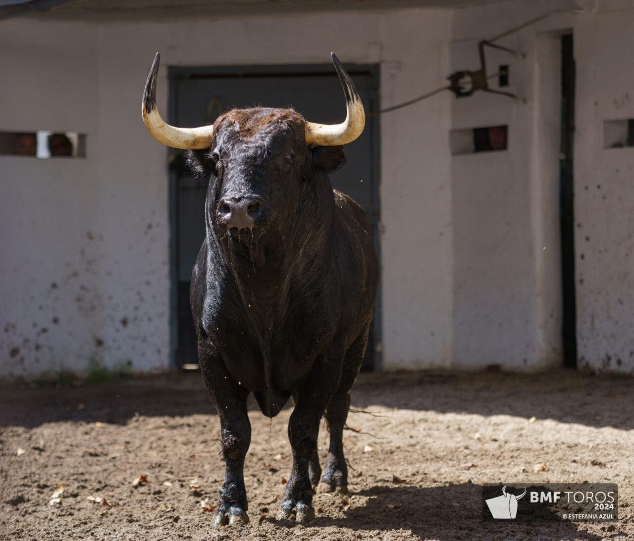 Novelero, de Dolores Aguirre, cierra la Semana Grande de Bilbao