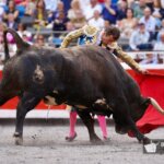 Damián Castaño frente al toro 