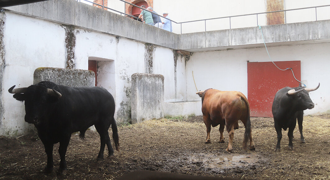 Cuatro de La Ventana del Puerto y dos de Puerto de San Lorenzo en Gijón