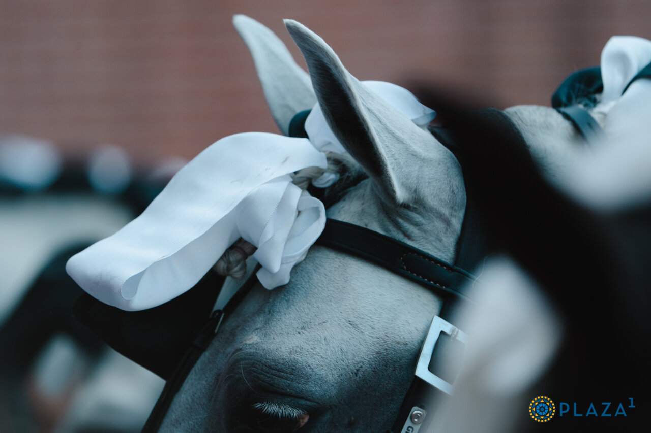 José Miguel Callejón y Rocío Arrogante puntúan en Ejea de los Caballeros