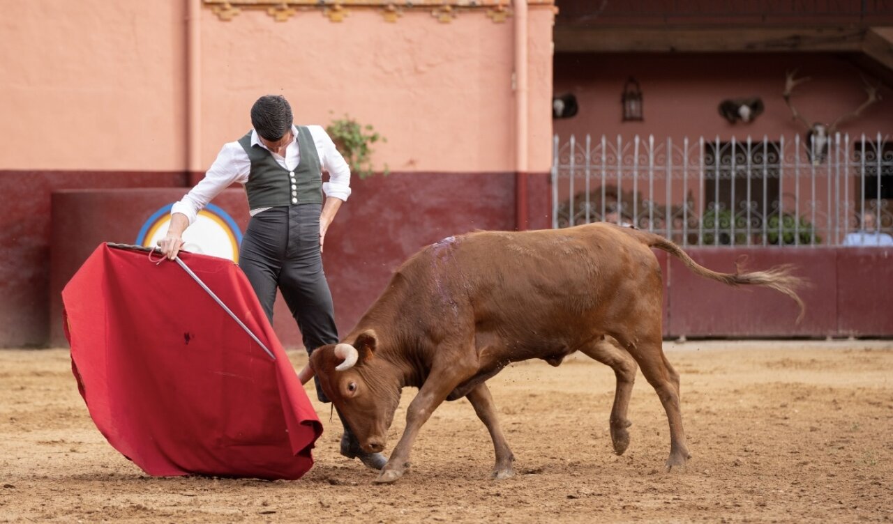 David Galván, una tarde de toreo en Samuel Flores