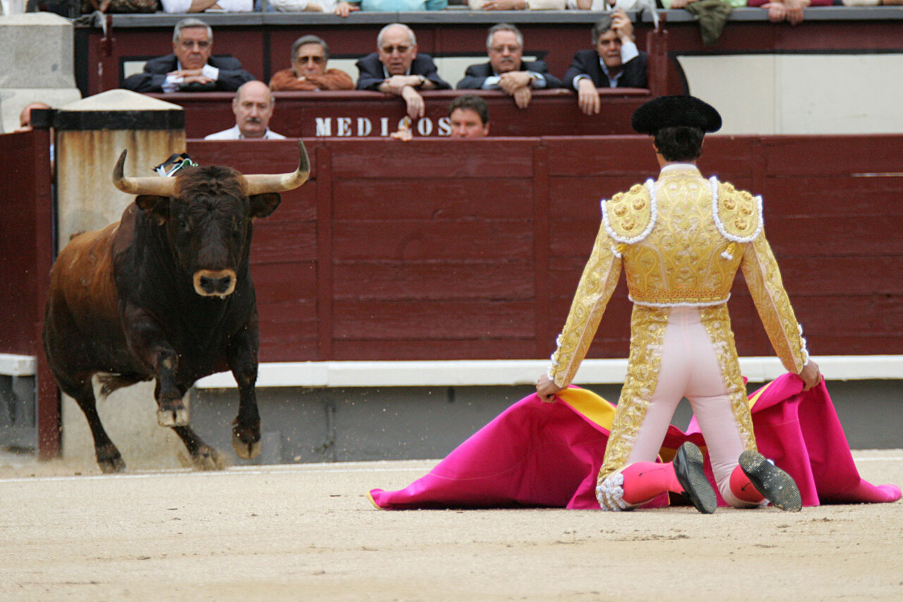 Público poco impresionable