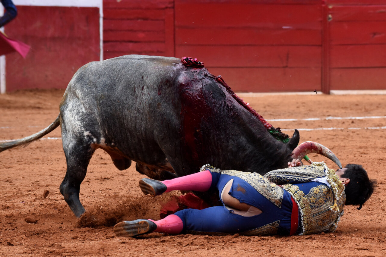 La inesperada gesta de Joel Castañeda en tarde de heridos en la Plaza México