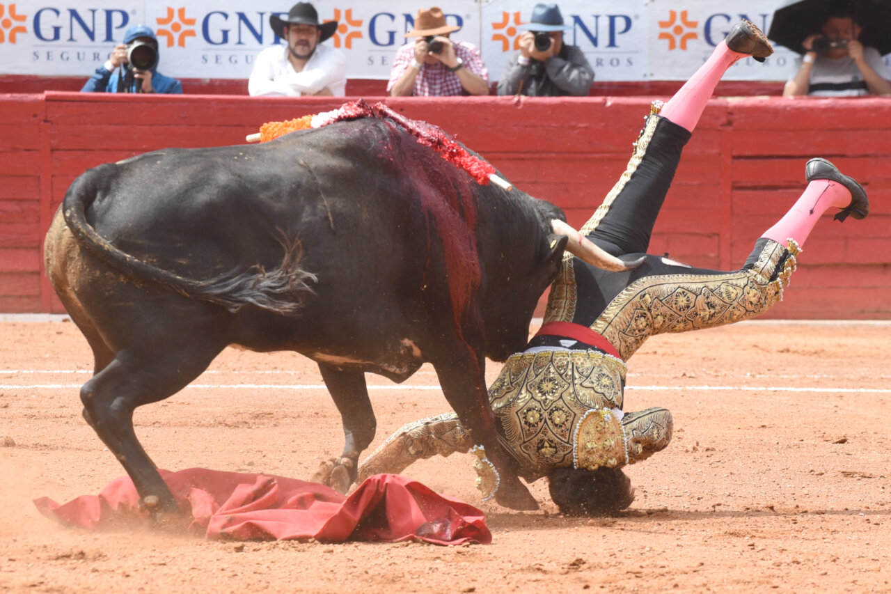 Paco de la Peña, cornada de 12 centímetros en el tercio superior del muslo izquierdo