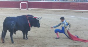Sergio Rodríguez, con el tercero de la tarde.