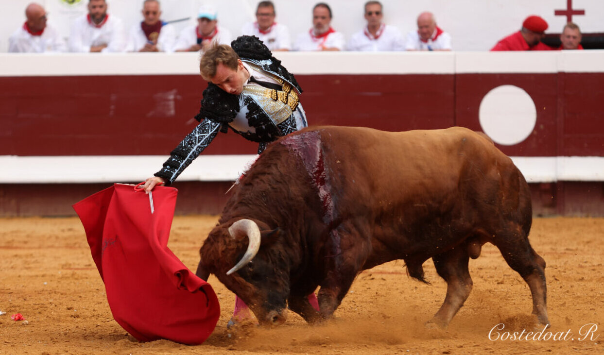 Importantes Adriano y Román con bravos pedrazas en Dax