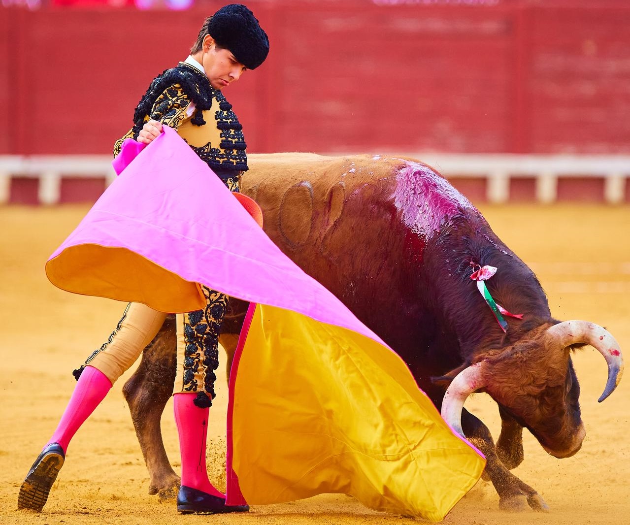 Manuel Román:"El aficionado sabe esperar el toreo puro y de sentimiento, y es el que más lo agradece"