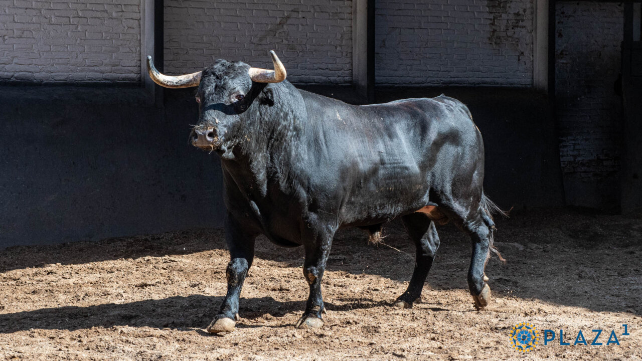 Benítez Cubero y Pallarés para la segunda cita de rejones en Las Ventas