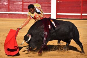Igor Pereira, oreja en Cantalejo I ALEJANDRO MARTÍN