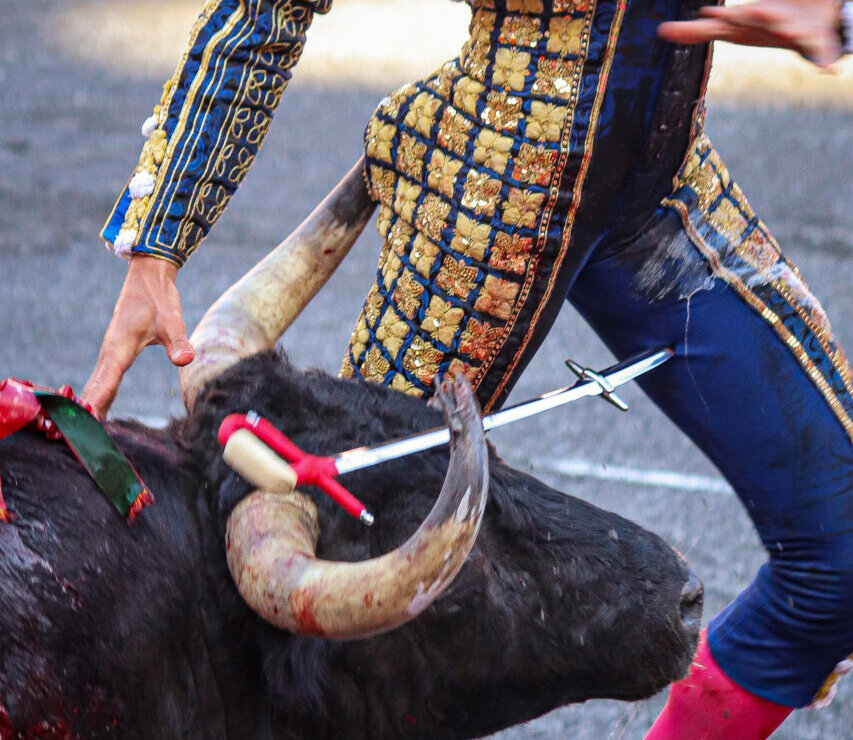 Dos cornadas en glúteo y muslo derecho a Castella, hombría en Bilbao