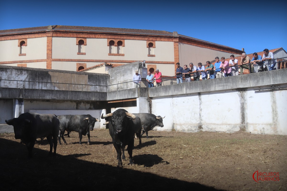 Los Espartales y La Quinta inauguran la feria de Gijón