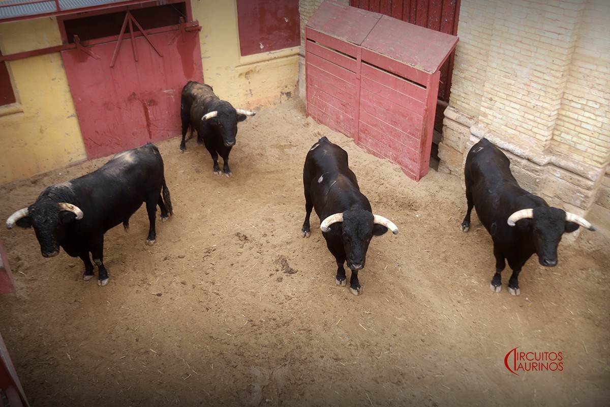 Sorteados los de Guiomar Cortés de Moura para la de rejones en El Puerto
