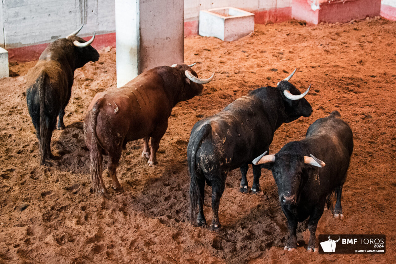 Corrida mixta de cuatro hierros para esta tarde en San Sebastián