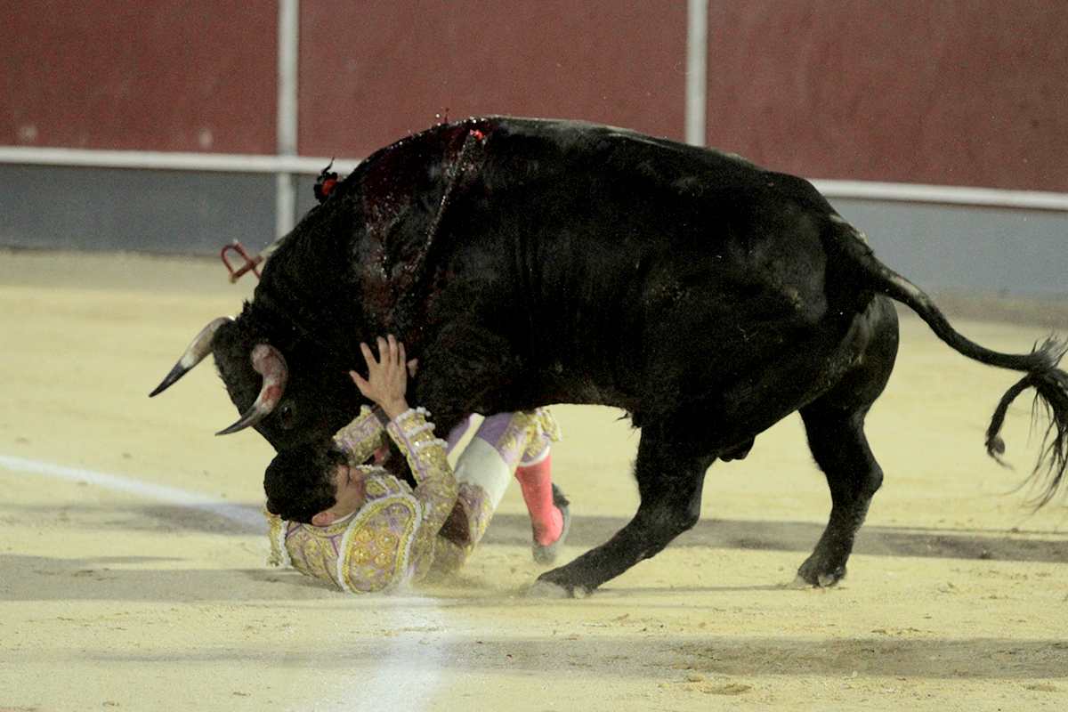 Calasparra y el mundo del toro, con el alma en vilo por César Pacheco