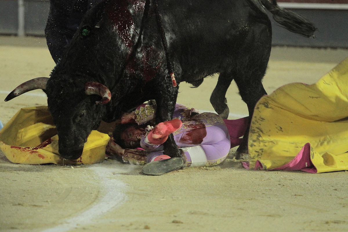 Secuencia fotográfica de la durísima cogida a César Pacheco en Calasparra