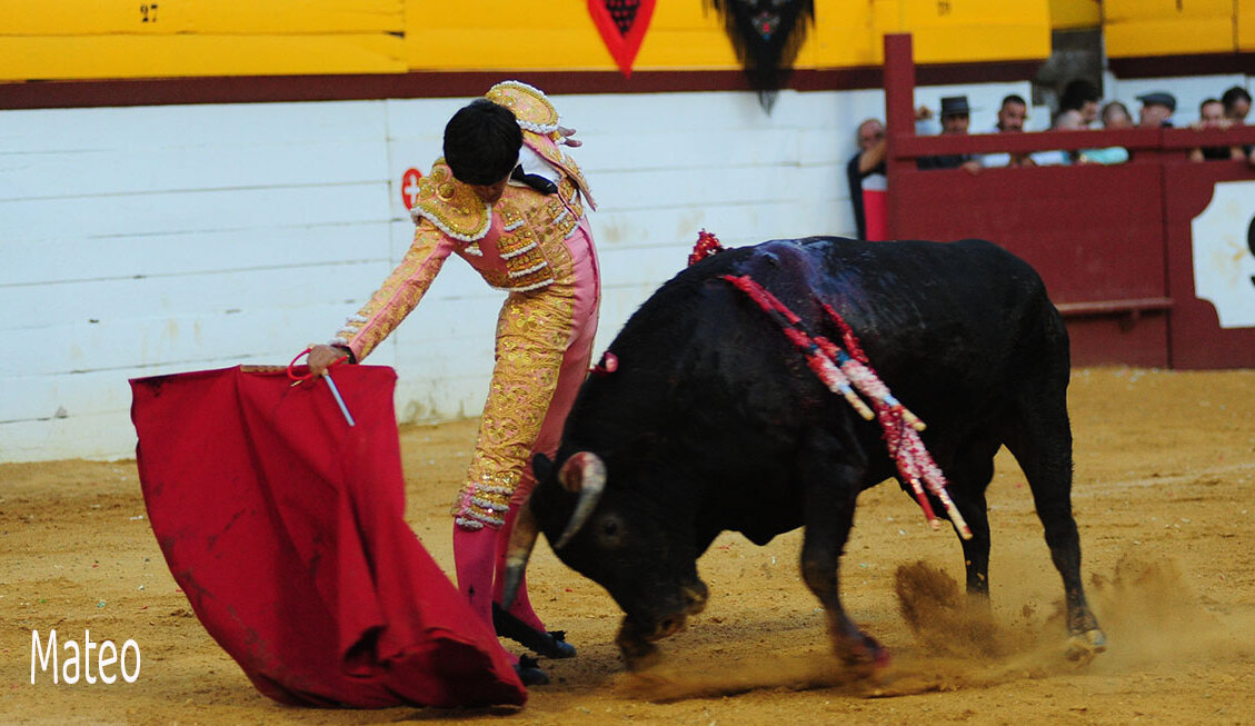 Aarón Palacio se alza con la Naranja de Oro de Algemesí