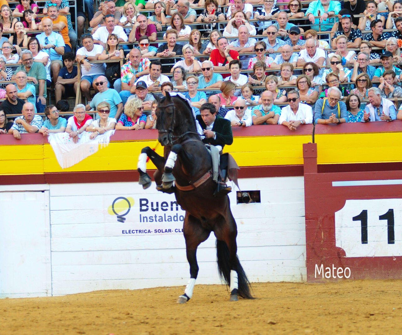 Andrés Romero y Ferrer Martín, últimas orejas de Algemesí