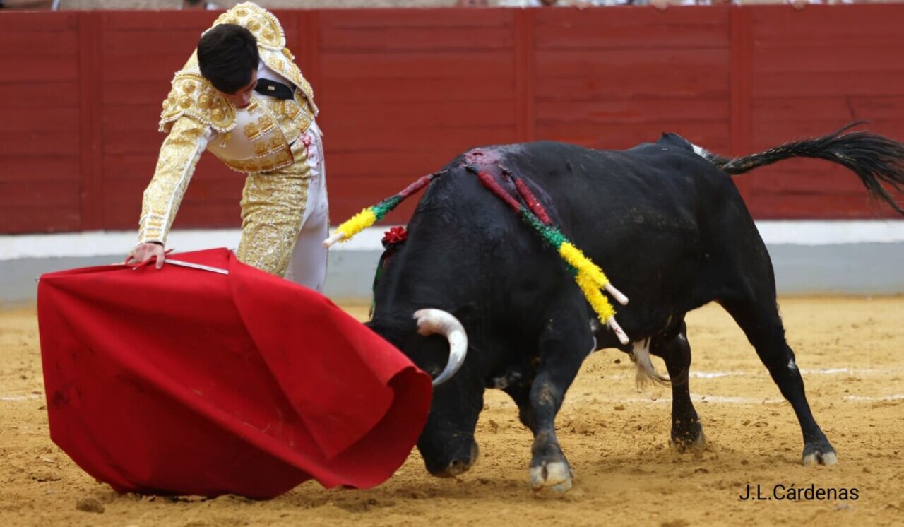 Falta de raza y poder de Cebada Gago en Villaseca de la Sagra