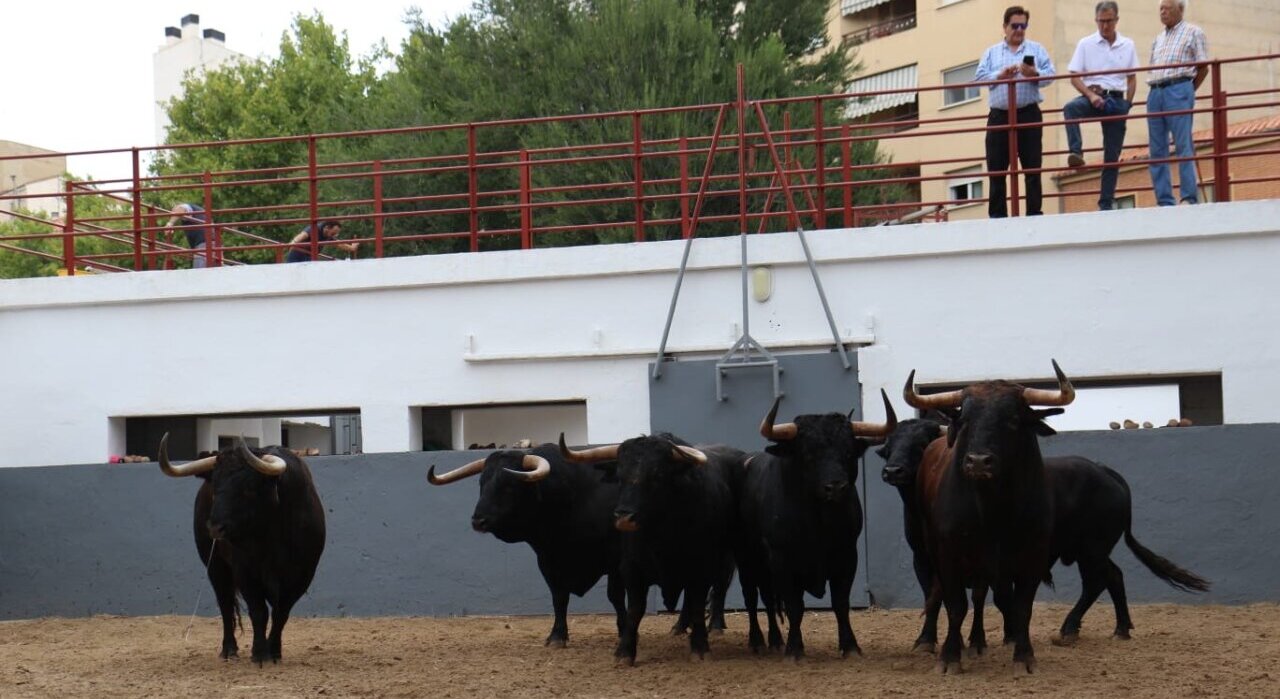 Peinaguapas, de Isabel Flores, abrirá la feria de Albacete 2024