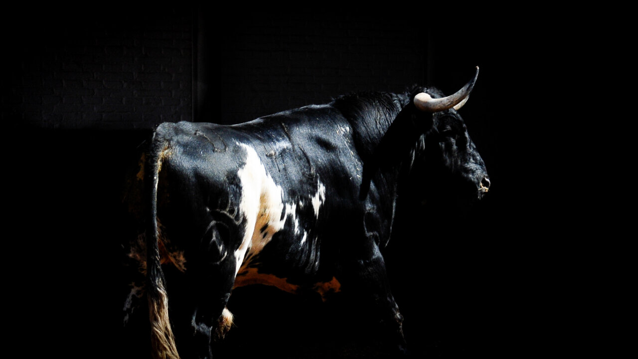 Así llega Dolores Aguirre al desafío de este domingo en Madrid