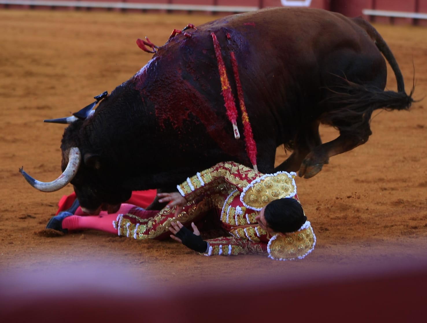 Talavante, volteado en su memorable tarde en Sevilla