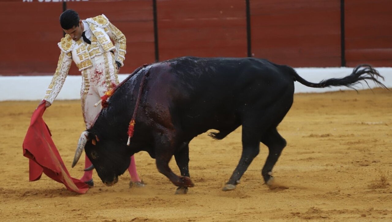 Indulto y cogida de Talavante, a hombros con Curro Díaz en Villanueva del Arzobispo