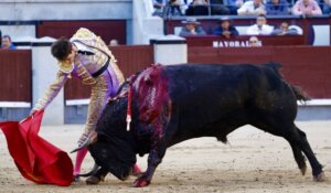 Foto: Iván de Andrés