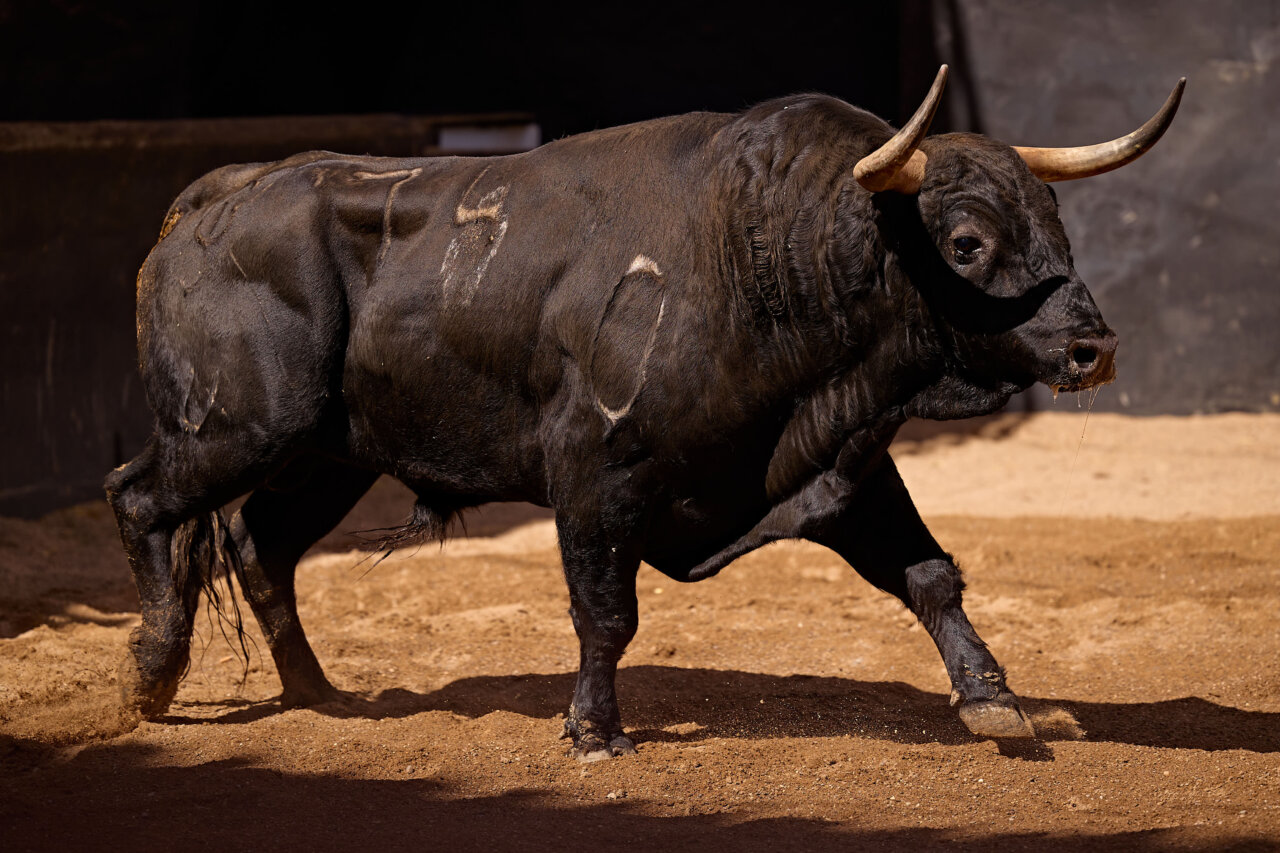 De Botinero a Clandestino, para la tercera de San Miguel