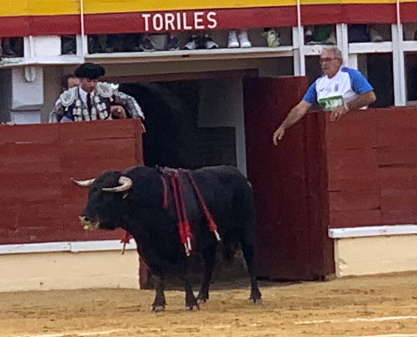 Marco Pérez indulta a Hatero y Ventura lo borda con un capea de vuelta en Medina del Campo