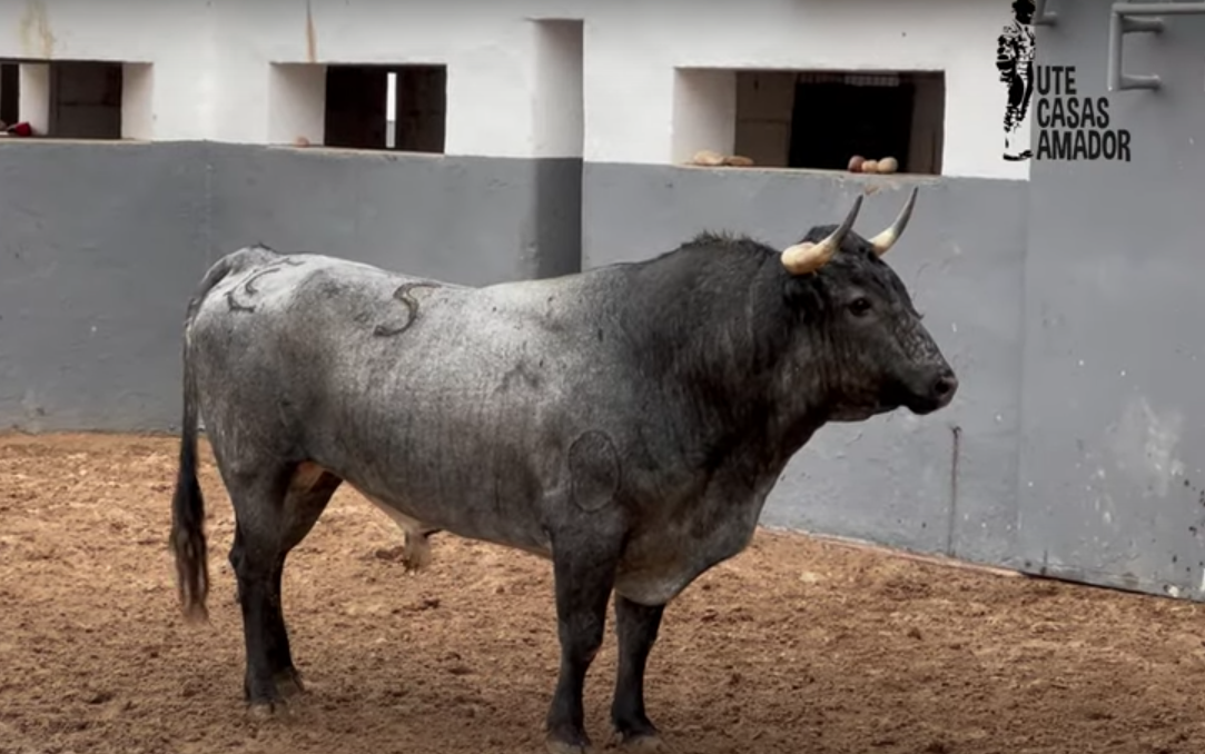 De Guardián a Jayonero, listos los de La Quinta para Albacete