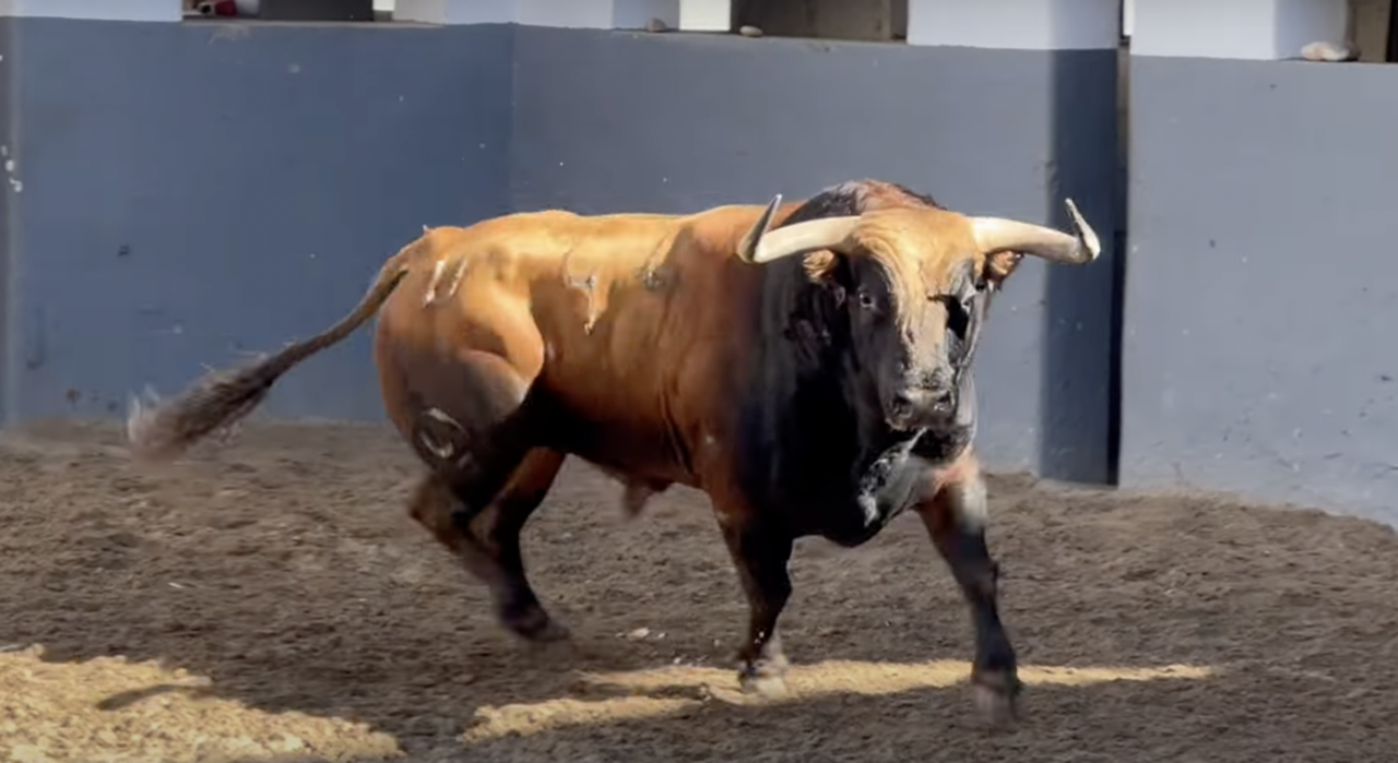 Dos Araposo de Conde de Mayalde para Albacete