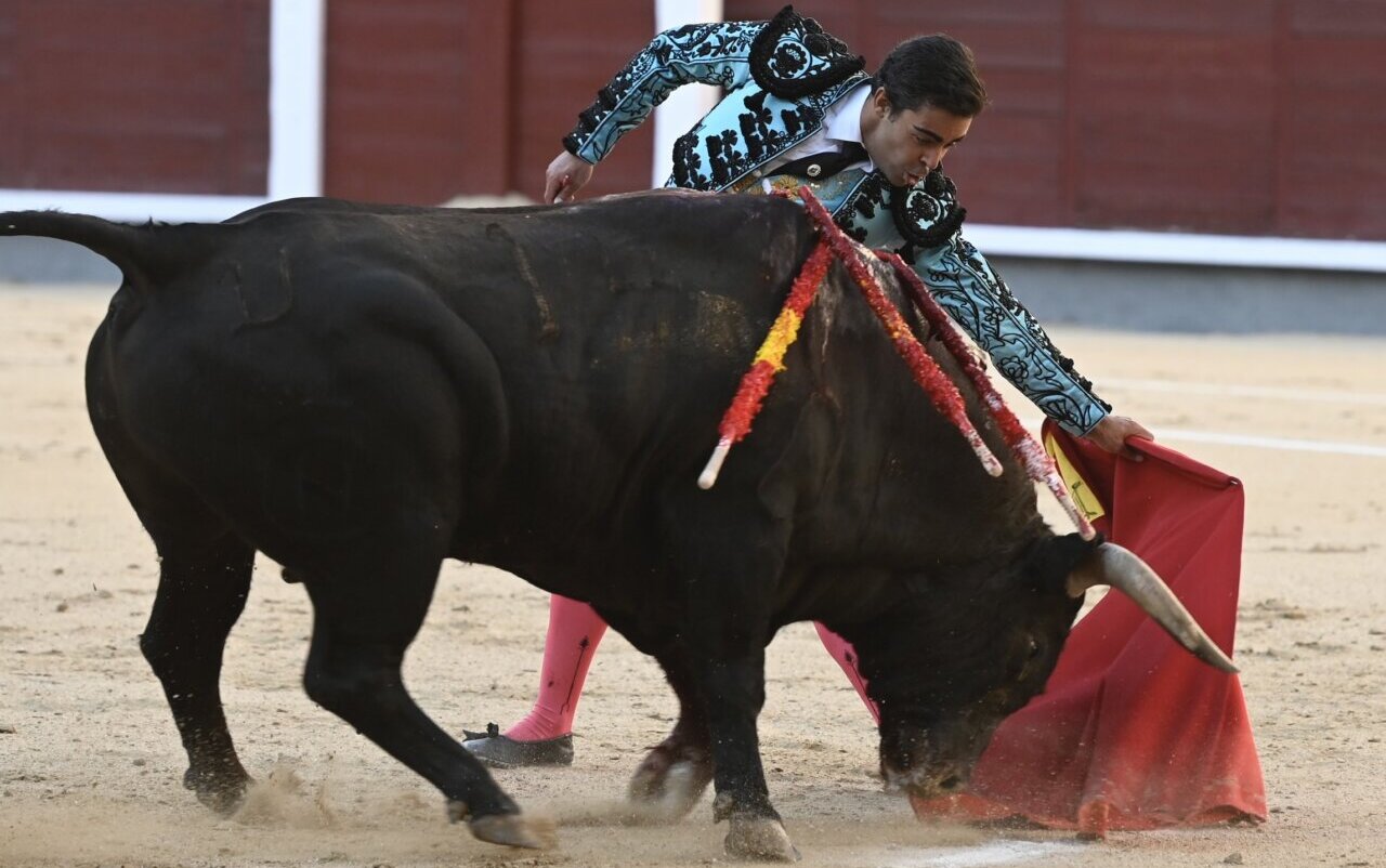De Pablo y un mansito encastado de Dolores en Las Ventas