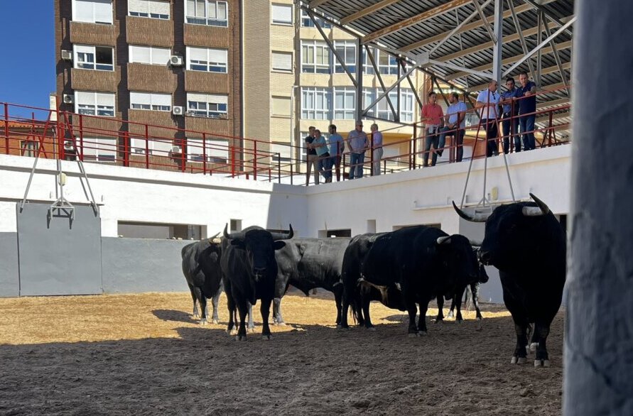 Seis de López Gibaja para la tercera de la feria de Albacete