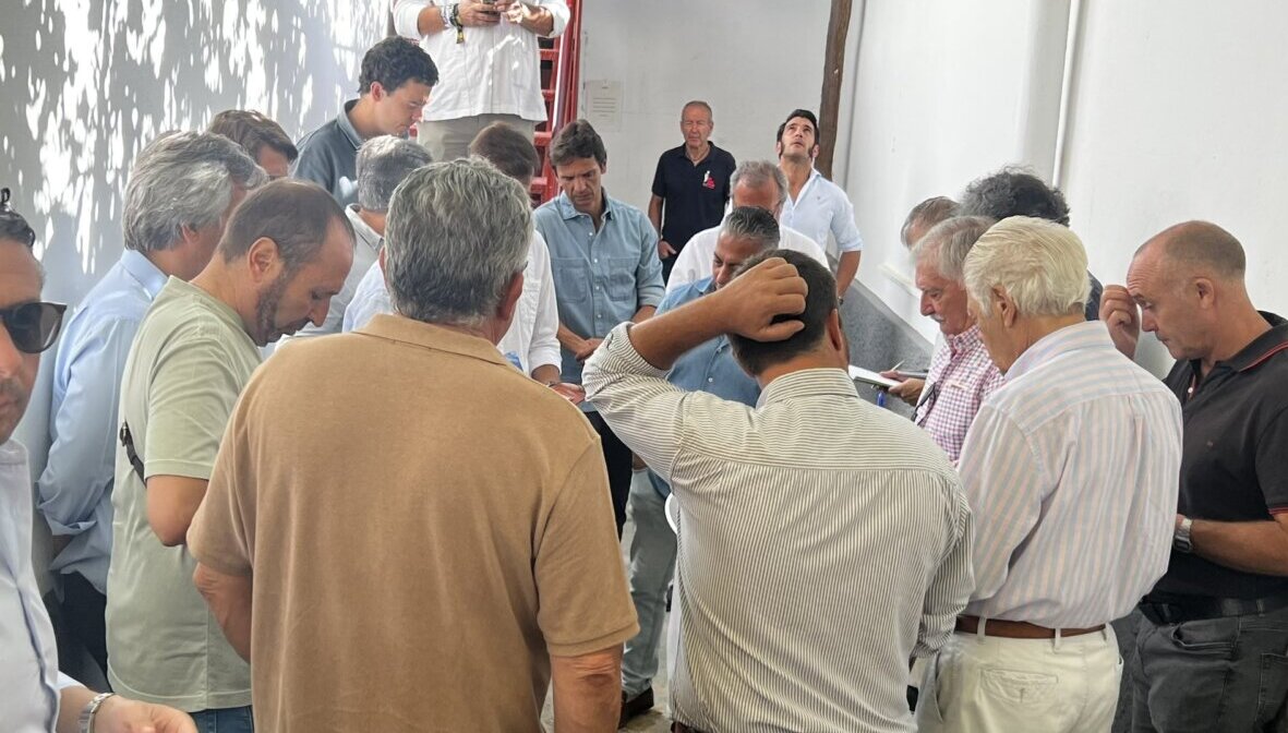 Seis de Los Espartales para la corrida de rejones de Albacete
