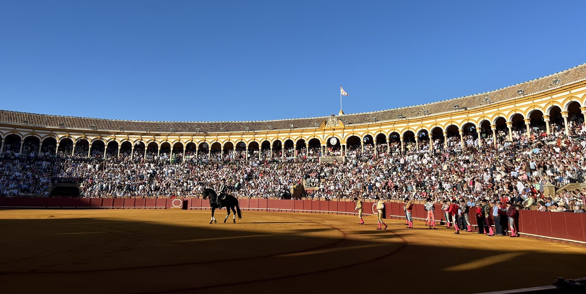 Sumar impulsa una ley para prohibir a los menores la entrada a los festejos taurinos y su formación en escuelas taurinas