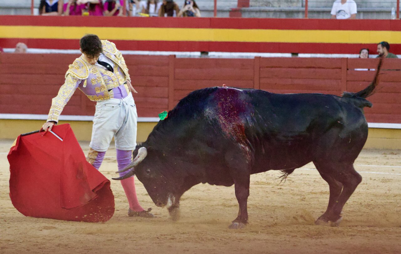 Alejandro Chicharro, voltereta y oreja en El Álamo (Galería fotográfica)