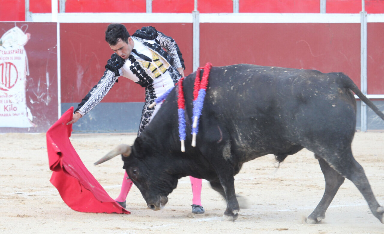 Mario Arruza, cornada de unos 15 y 7 cm en la cara posterior del muslo derecho en Calasparra