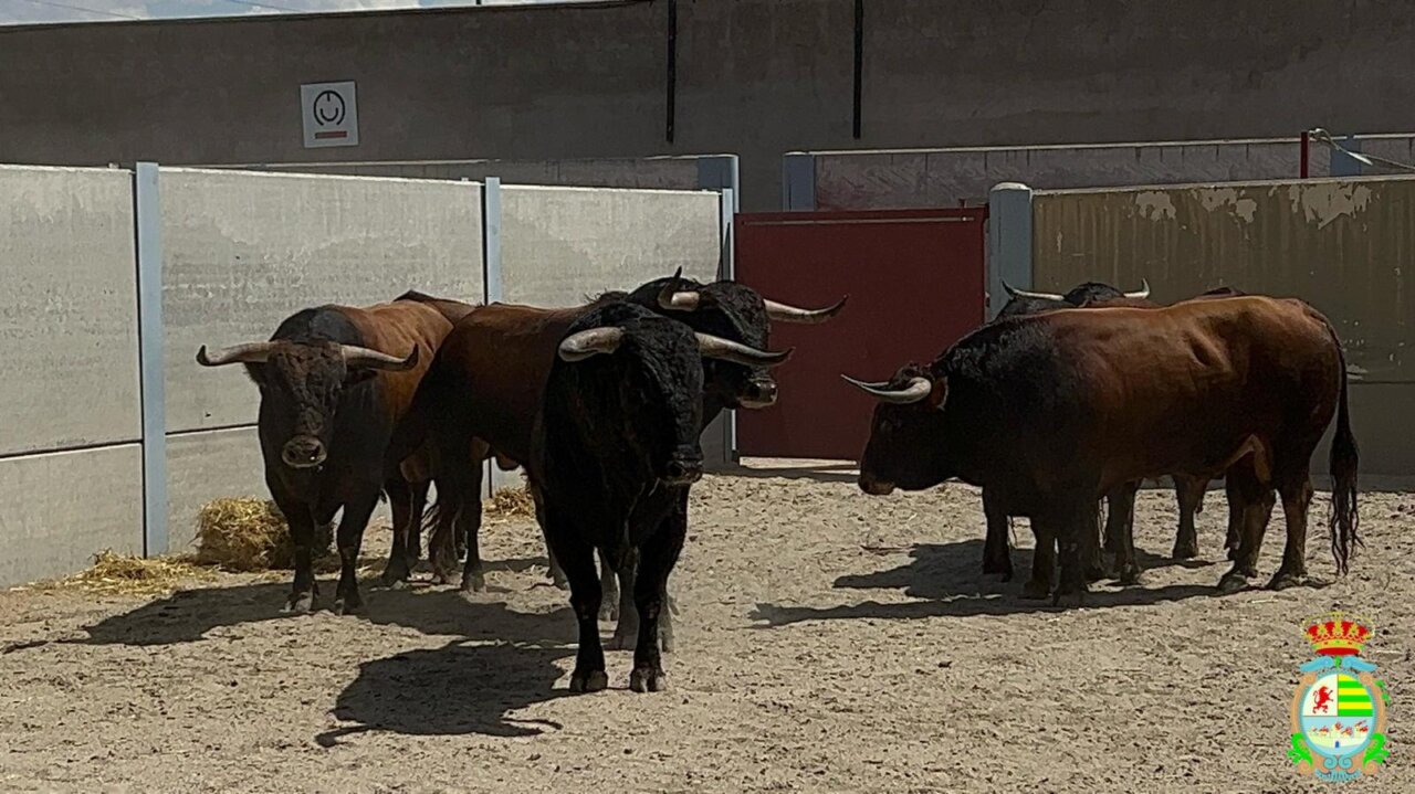 Acumulado, de Conde de Mayalde, abre el Alfarero de Oro