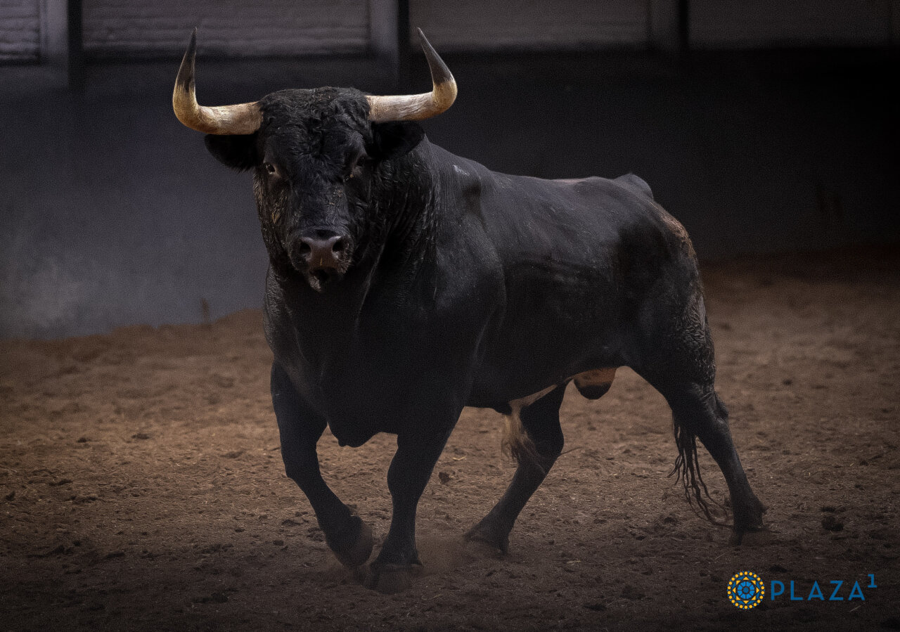 Seriedad y belleza en el desembarque de los de Dolores Aguirre y Sobral para el segundo desafío de Las Ventas