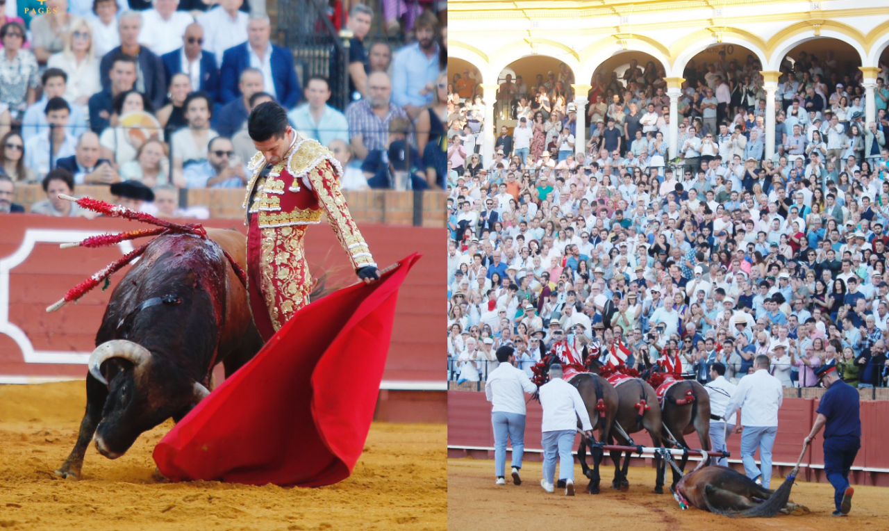Talavante y Dalia, binomio de excelencia en la Maestranza